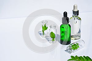 Homeopathic Vegetable Oils. Concept of Organic, Bio Cosmetics and Food Additives