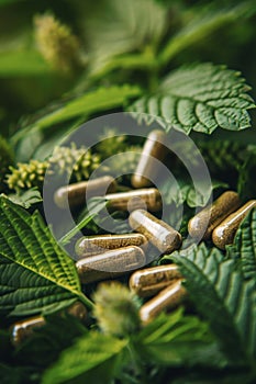 Homeopathy capsules and plant leaves. Selective focus.