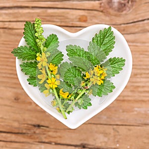 Homeopathy and cooking with agrimony