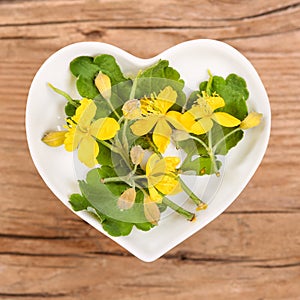Homeopathy and cooking with celandine