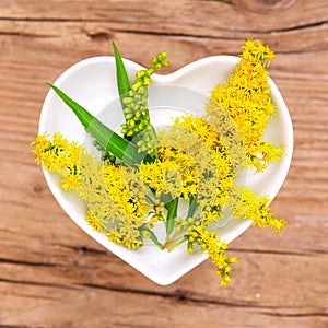 Homeopathy and cooking with goldenrod