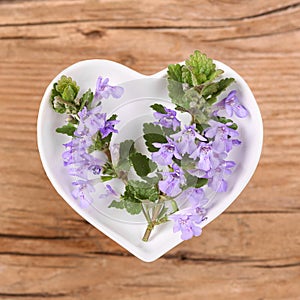 Homeopathy and cooking with ground ivy
