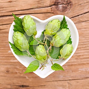 Homeopathy and cooking with hops