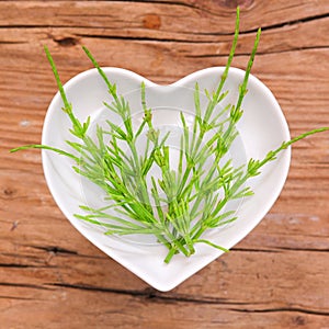 Homeopathy and cooking with horsetail