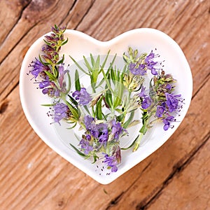 Homeopathy and cooking with hyssop