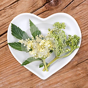 Homeopathy and cooking with meadowsweet