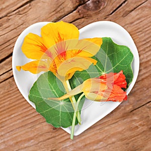 Homeopathy and cooking with nasturtium