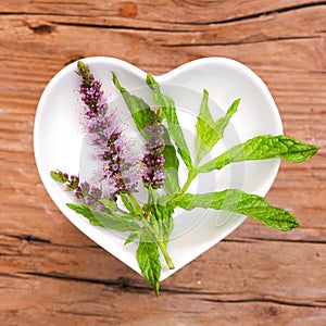 Homeopathy and cooking with peppermint