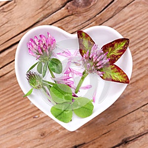 Homeopathy and cooking with red clover