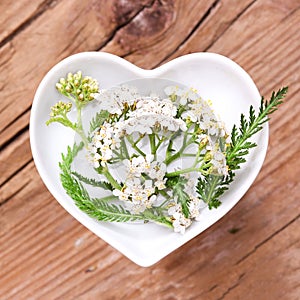 Homeopathy and cooking with silver yarrow