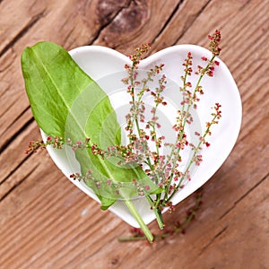 Homeopathy and cooking with sorrel