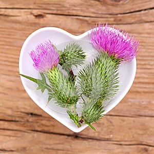 Homeopathy and cooking with thistle