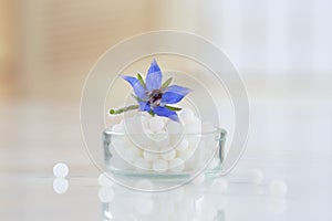 Homeopathy globules with borage flower