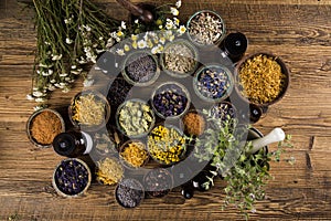 Homeopathy, herbal medicine on wooden table