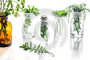 Homeopathy. Medicinal herbs in glass on white background