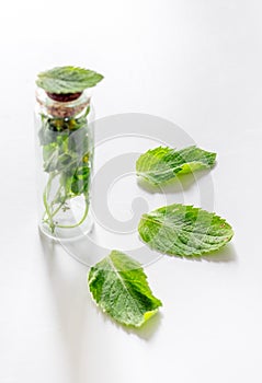 Homeopathy. Medicinal herbs in glass on white background