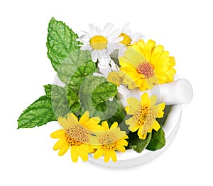 Arnica, chamomile and marigold in a mortar photo
