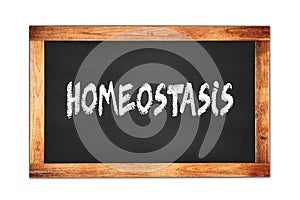 HOMEOSTASIS text written on wooden frame school blackboard photo