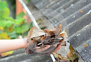 A homeowner is cleaning out roof gutters by taking away debris, fallen dry leaves by hand to keep the rain gutter unclogged and