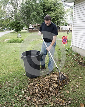 Homeowner Raking Leaves In The Front Yard