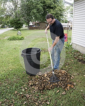 Homeowner Raking Leaves In The Front Yard