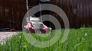 Homeowner working in garden uses lawnmower to mow a lawn. Man cutting grass in his yard with electric lawn mower. Low angle shot