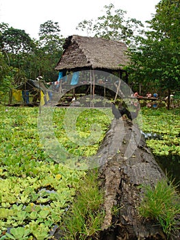 Casas en Amazonas 