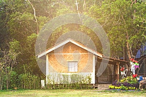 Homes in the Forest.