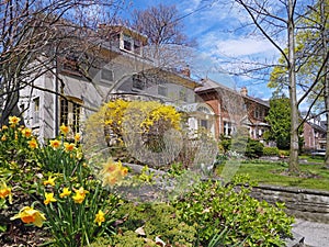 Homes with front yards with spring flowers