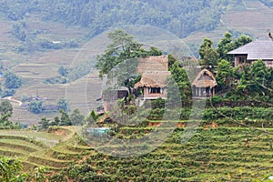 Homes and houses in the mountains and forest around Sapa, North Vietnam, Asia