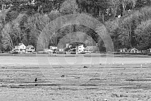 Waterfront Dash Point Homes