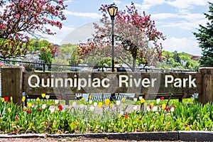 Homes in Quinnipiac River Park in New Haven Connecticut