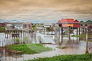 Homes on stilts on the floating village of Kampong Phluk, Tonle