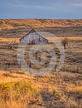 Homestead Barn at Sunset