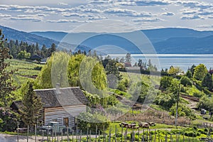 Homestead Cabin and Orchard Okanagan Lake Kelowna British Columbia Canada