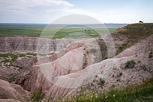 Homestead Overlook and mountain goat in Badland national park during summer. From grassland to valley. Badland landscape