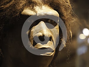 Homo erectus human head cranium