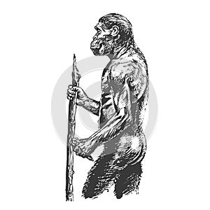 Homo erectus. View from the side. Hand drawing sketch photo