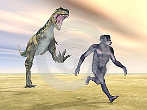 Habilis - Human Evolution