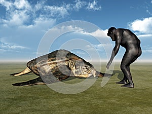 Habilis - Human Evolution