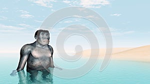 Habilis - Human Evolution