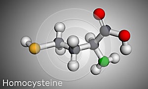 Homocysteine biomarker molecule. It is a sulfur-containing non-proteinogenic amino acid photo