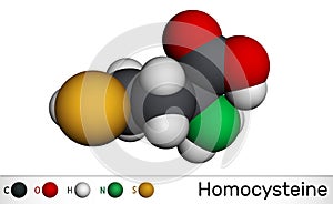 Homocysteine biomarker molecule. It is a sulfur-containing non-proteinogenic amino acid. Molecular model photo