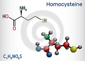 Homocysteine biomarker molecule. It is a sulfur-containing non-proteinogenic amino acid. Structural chemical formula and molecule photo