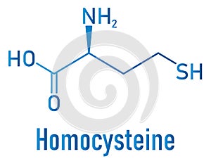 Homocysteine or Hcy biomarker molecule. Skeletal formula. photo
