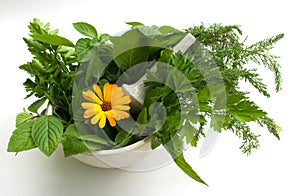 Homoeopathic sketches