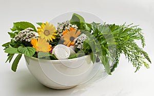 Homoeopathic sketches