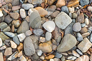Homogen background with rocks