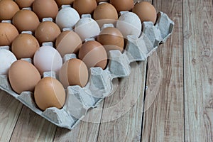 Homogeneous concept : Different kinds of eggs stay together photo