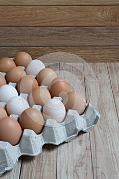 Homogeneous concept : Different kinds of eggs stay together photo